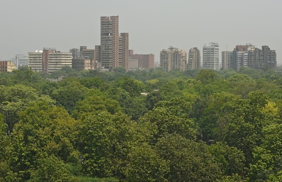 Delhi environment: Tree authority बना रही पॉलिसी, दिल्लीवासी पेड़ों को गोद ले सकेंगे