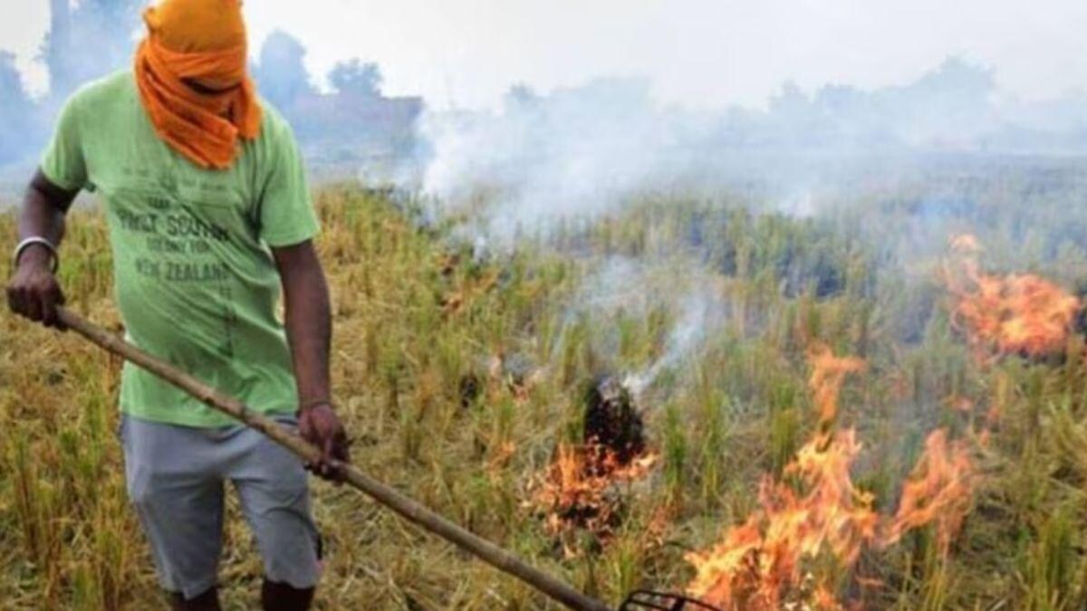 Haryana Stubble Burning: 3 किसानों ने सेटेलाइट को पकड़ लिया और पराली जलाया