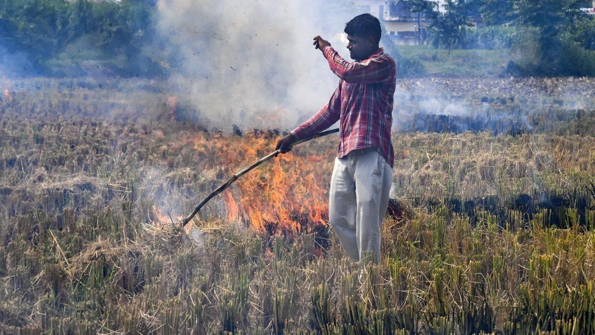 Punjab Stubble Burning: पंजाब में 33 हजार से अधिक पराली जलाने की घटनाएं हुई हैं, किसान सरकार की अपील को अनदेखा करते हैं