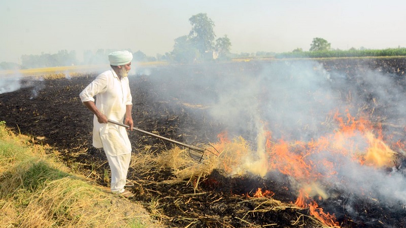 Punjab Haryana Stubble Burning: पर्यावरण मंत्रालय ने कहा कि पंजाब-हरियाणा में पराली जलाने के मामलों में कमी आई है