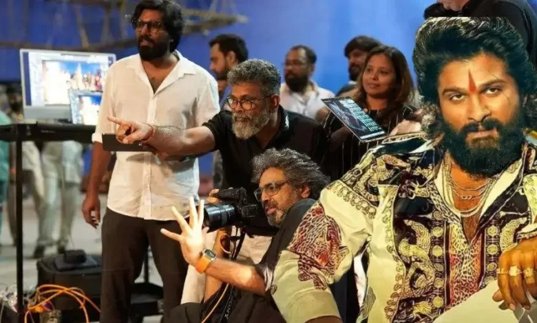 Pushpa 3: फिल्म का तीसरा भाग "पुष्पा: द रूल" के बाद बनाया जाएगा! अल्लू अर्जुन ने बड़ी घोषणा की