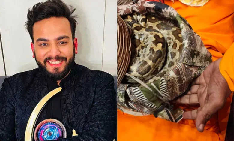 Elvish Yadav ने पुलिस के सामने कुबूल किया अपराध! उन्होंने कहा कि पार्टी के लिए सांप और जहर का आदेश दिया गया था: रिपोर्ट में