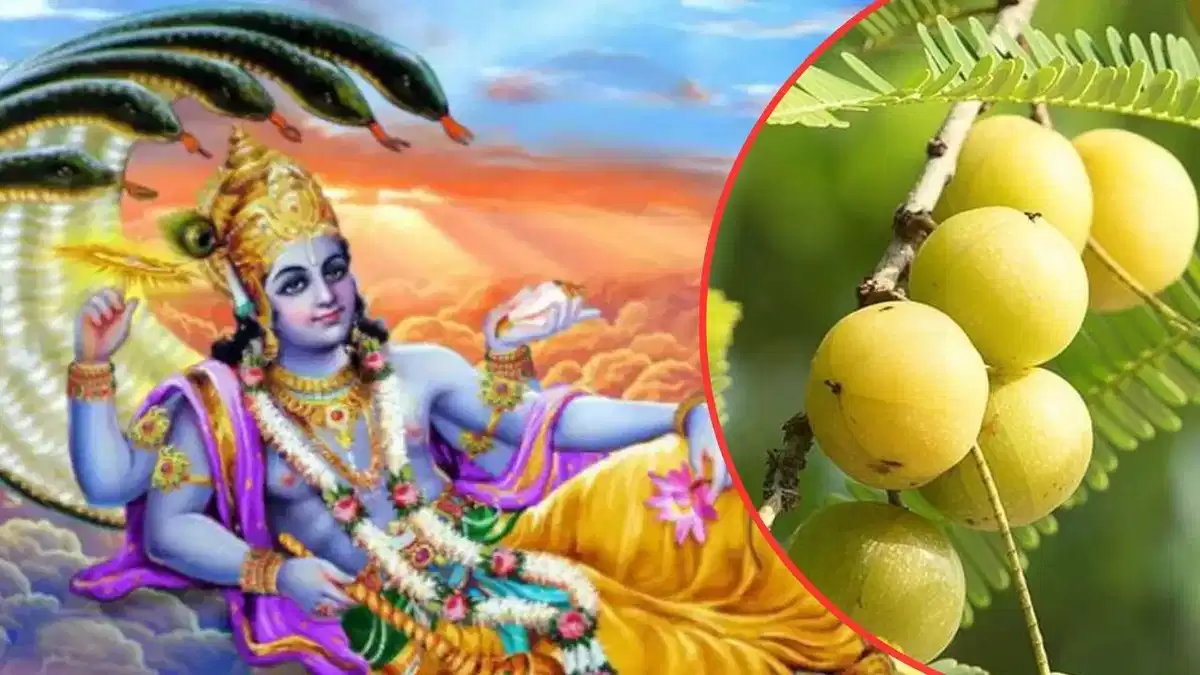 Amalaki Ekadashi 2024: आमलकी एकादशी पर इन उपायों को आंवले से जुड़ें, आपके वैवाहिक जीवन में खुशी मिलेगी