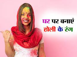 Homemade Holi Colour: इन चीजों की मदद से आप आसानी से होली के गीले और सूखे रंग बना सकते हैं