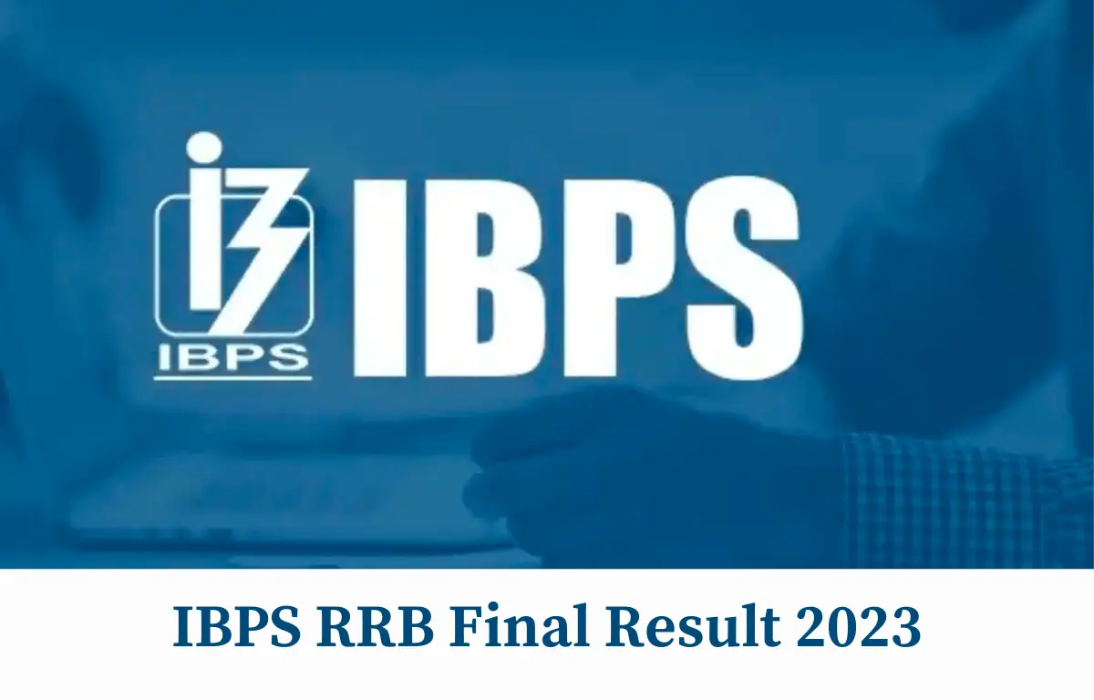 IBPS Clerk Result 2024: IBPS Clerk Exam के घोषित नतीजे ibps.in पर देखें