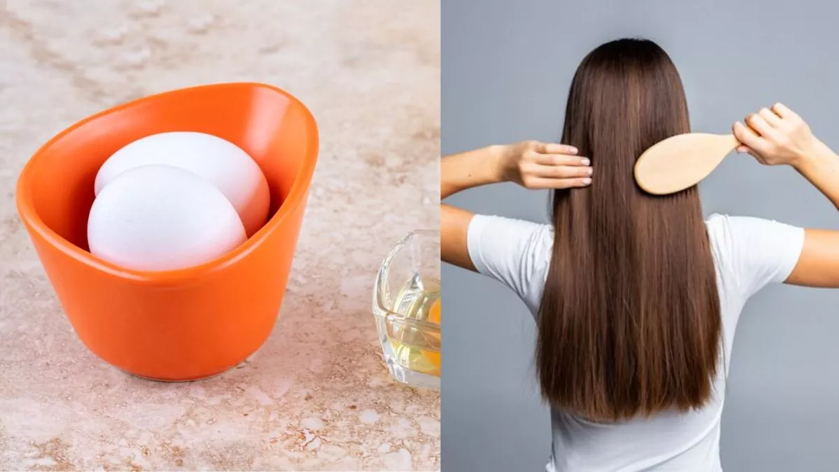 Egg For Hair:बालों की इन चार समस्याओं को दूर करने के लिए अंडा का उपयोग करें