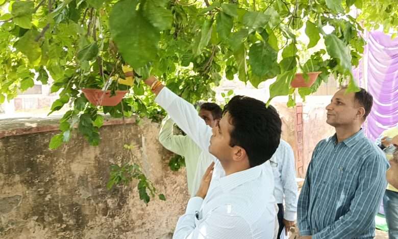 जिला कलक्टर आलोक रंजन ने किया जिला चिकित्सालय का आकस्मिक निरीक्षण