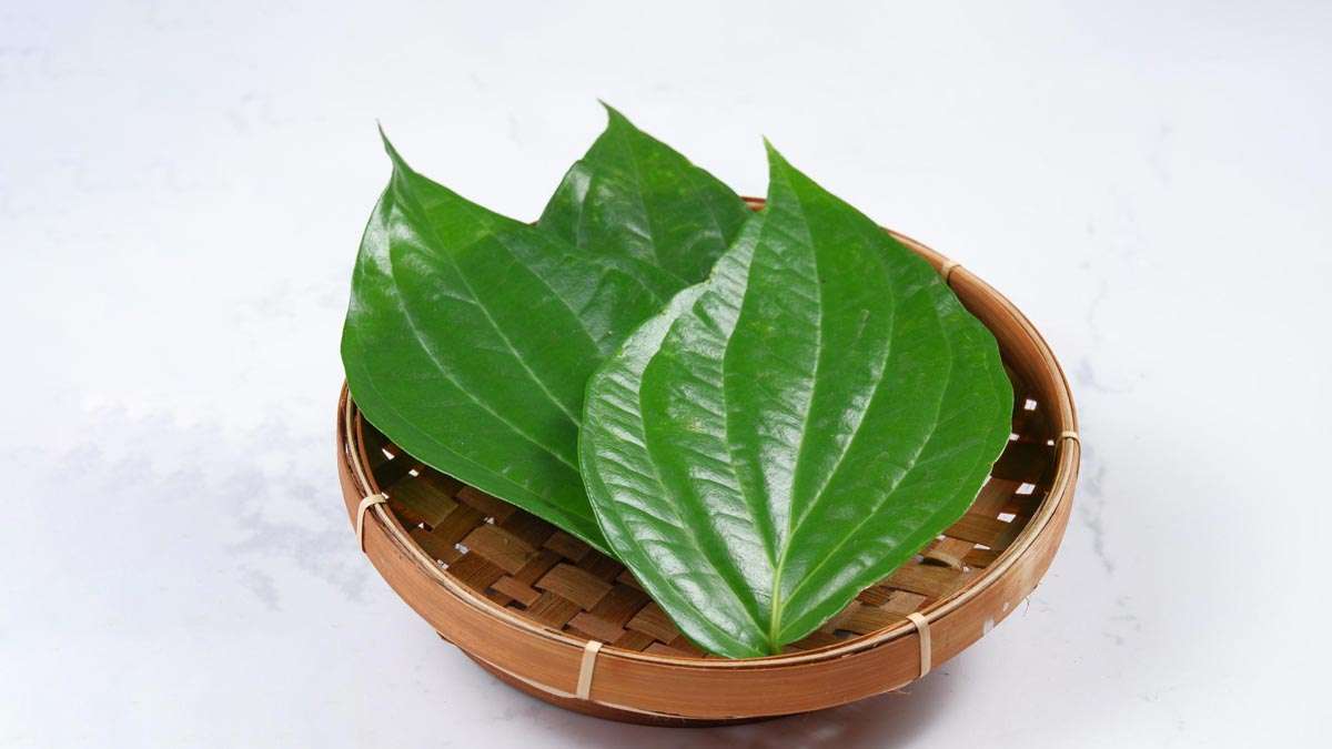 Betel leaves पर इन तीन देवताओं को भोग लगाने से भाग्य खुलता है