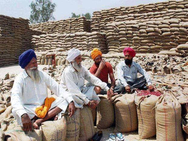 Punjab news: पंजाब समूह ने केंद्र द्वारा तय कीमत को खारिज किया, कहा- खरीद गारंटी कानून...