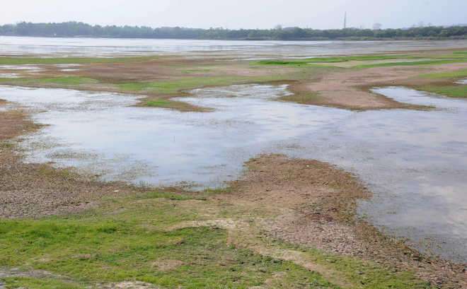 Sukhna Lake: चंडीगढ़ की सुंदर सुखना लेक भी गर्मी का शिकार हो गई है, क्योंकि जलस्तर लगातार घट रहा है