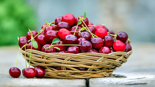 Cherry Eating Benefits: यह छोटा सा लाल फल सिर्फ स्वाद का ही नहीं बल्कि गुणवत्ता का भी खजाना है और इन लोगों को इसे जरूर खाना चाहिए।