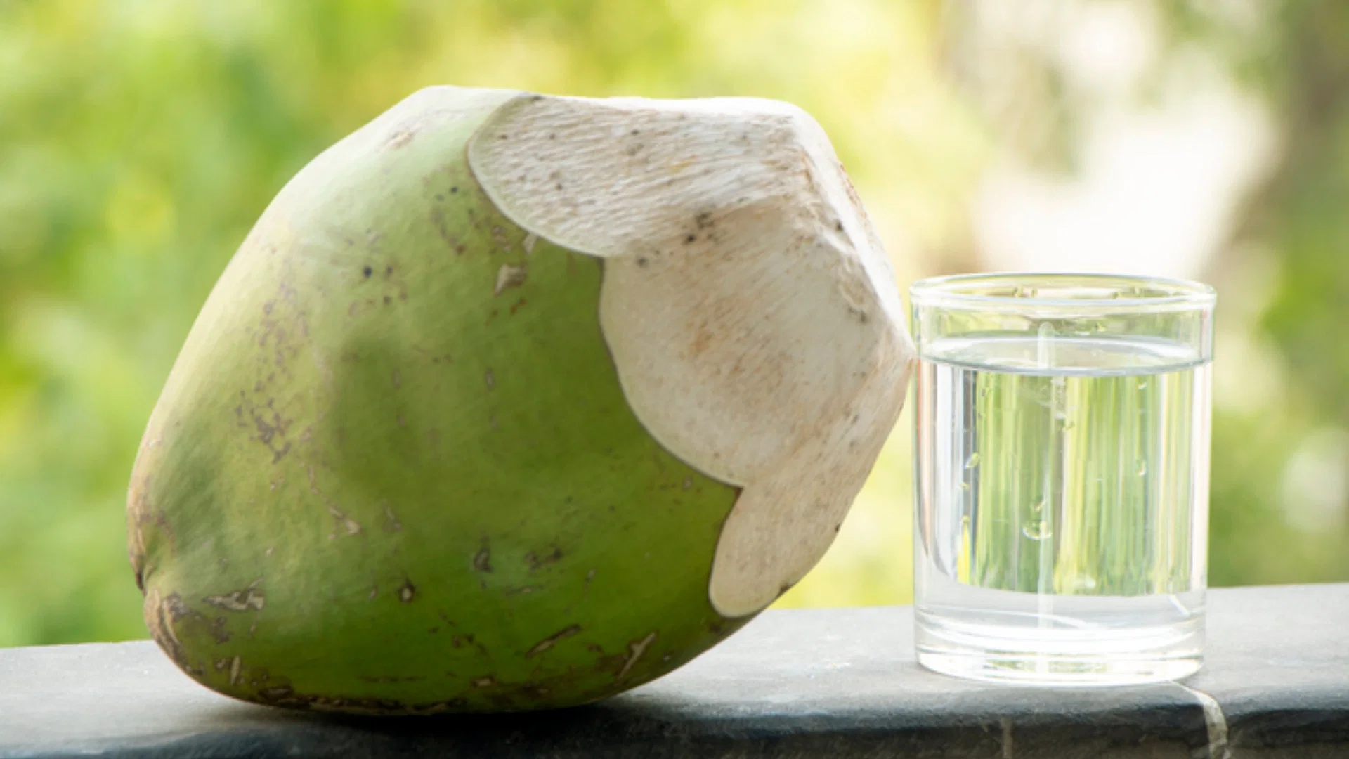 How to identify Coconut: क्या नारियल में मलाई या पानी की मात्रा अधिक है, कैसे पता चलता है?  ये सुझाव आपको पहचानने में मदद करेंगे।