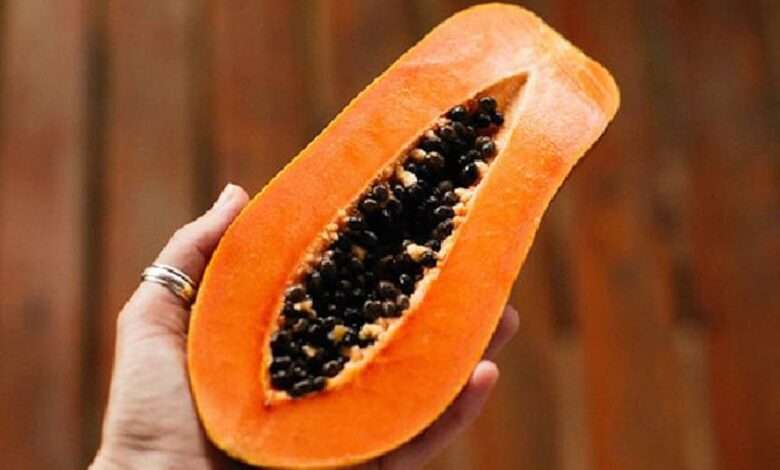 Papaya Benefits: 30 साल की उम्र पार कर चुकी महिलाओं के लिए पपीता अमृत समान है: जानें ढलती उम्र में इसका सेवन क्यों फायदेमंद है?