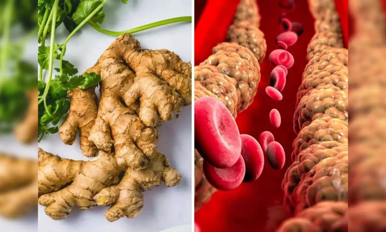 Ginger In Bad Cholesterol: दो तरीकों से अदरक का उपयोग करने से खराब कोलेस्ट्रॉल और ट्राइग्लिसराइड्स कम होने लगेगा 