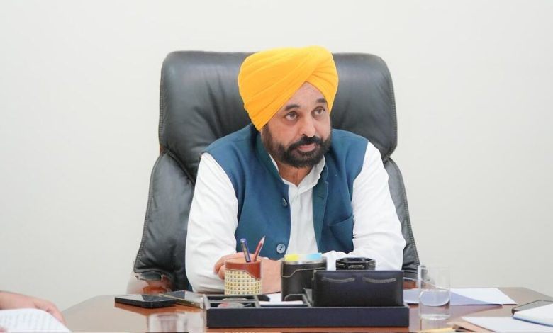 Mann Government का महत्वपूर्ण निर्णय, पंजाब में वन्य क्षेत्र का क्षेत्रफल बढ़ेगा!