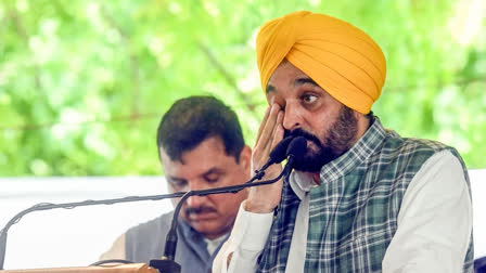 CM Bhagwant Mann ने वर्धमान स्टील ग्रुप को 1750 करोड़ रुपये का प्लांट बनाने में मदद करने का वादा किया