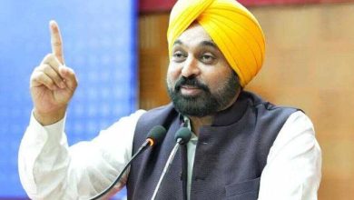 CM Bhagwant Mann: मान सरकार का पर्यावरण संरक्षण के लिए बड़ा कदम, वन क्षेत्र को एग्रोफॉरेस्ट्री से बढ़ाया जाएगा