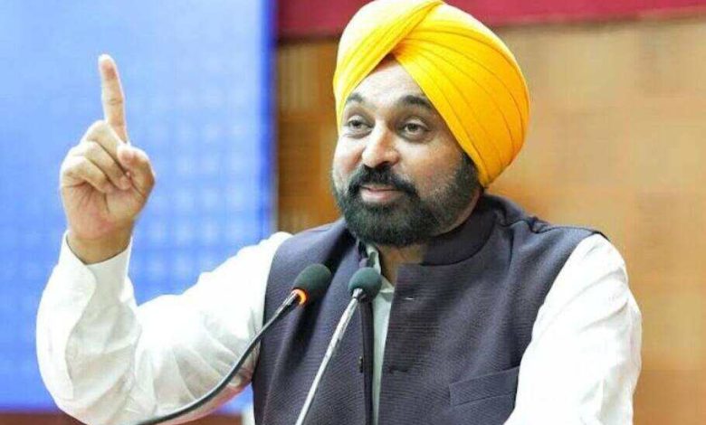 CM Bhagwant Mann: मान सरकार का पर्यावरण संरक्षण के लिए बड़ा कदम, वन क्षेत्र को एग्रोफॉरेस्ट्री से बढ़ाया जाएगा