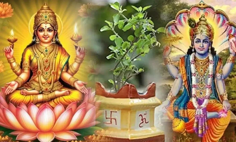 Margashirsha Upaya: मार्गशीर्ष माह सबसे अच्छा है, अगहन में इन आसान उपायों का पालन करें और धन की कमी नहीं होगी! याद रखें महत्व