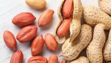 Health Benefits of Peanuts: ये गर्म तासीर वाले छोटे-छोटे गोल दाने सर्दियों में आपको स्वस्थ रखेंगे. वे सस्ती हैं लेकिन बहुत अच्छे हैं।