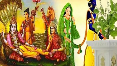 Tulsi Vivah 2024: श्रीहरि ने तुलसी से विवाह क्यों किया? पढ़ें पौराणिक कथा, वृंदा का भगवान विष्णु से क्या संबंध है?