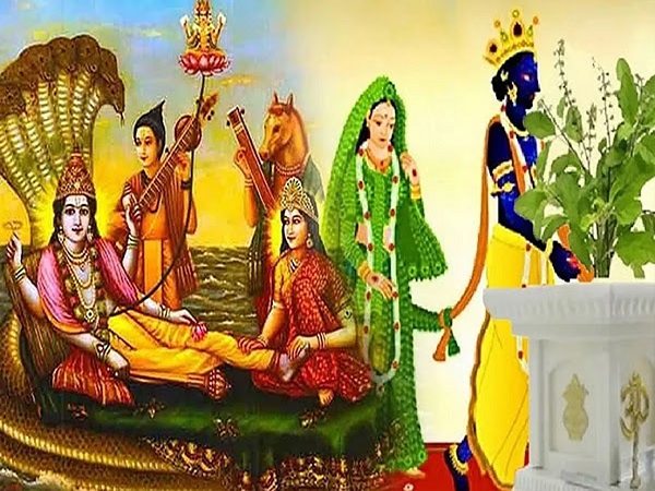 Tulsi Vivah 2024: श्रीहरि ने तुलसी से विवाह क्यों किया? पढ़ें पौराणिक कथा, वृंदा का भगवान विष्णु से क्या संबंध है?