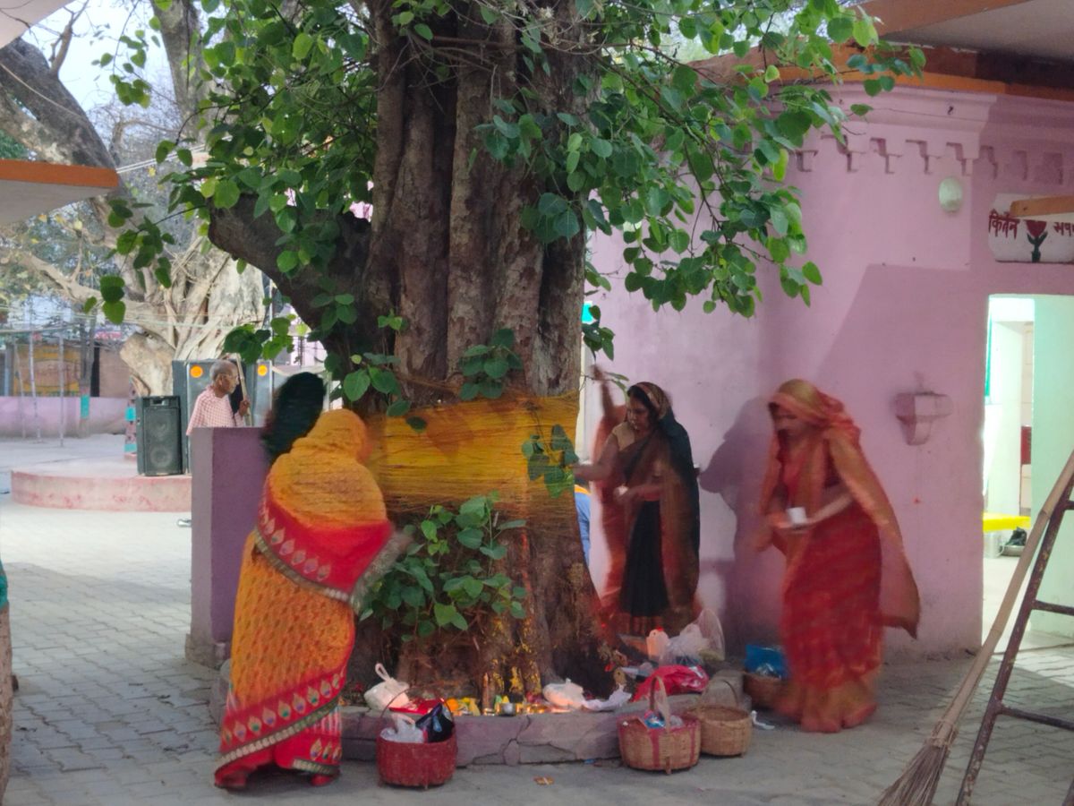 सोमवती अमावस्या पर पीपल की जड़ में तीन चीजें चढ़ा दें; यह आर्थिक तंगी को दूर करेगा और हर काम पूरा होगा!