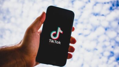 अमेरिका में TikTok बैन की योजना! फेडरल कोर्ट ने ऐप को राष्ट्रीय सुरक्षा के लिए खतरा बताया, 2020 से भारत में बैन