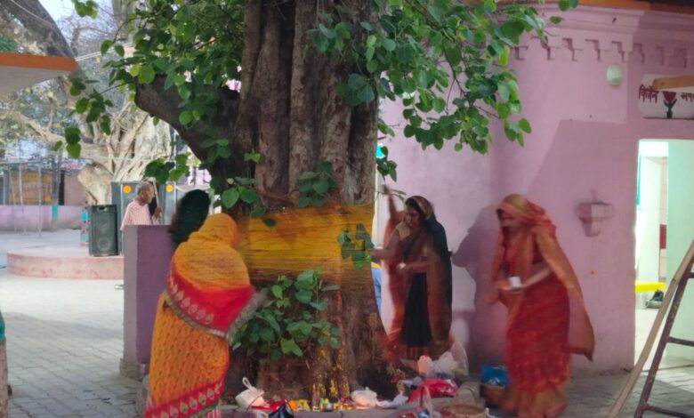 सोमवती अमावस्या पर पीपल की जड़ में तीन चीजें चढ़ा दें; यह आर्थिक तंगी को दूर करेगा और हर काम पूरा होगा!