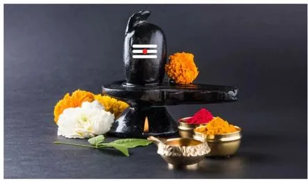 Mahashivratri 2025: महाशिवरात्रि पर घर में शिवलिंग स्थापित करना चाहते हैं तो इन बातों का ध्यान रखें