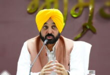 Punjab news: पंजाब के युवा लोगों को सरकार का तोहफा, इस विभाग में बंपर भर्ती, जानिए कैसे आवेदन करें