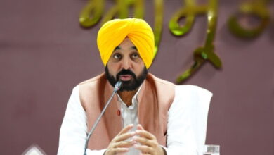 Punjab news: पंजाब के युवा लोगों को सरकार का तोहफा, इस विभाग में बंपर भर्ती, जानिए कैसे आवेदन करें