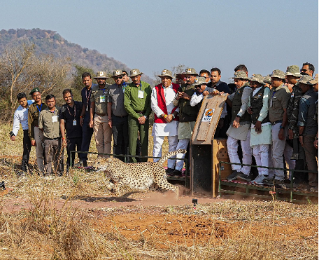 मुख्यमंत्री मोहन यादव ने Kuno National Park में  जंगल में 5 चीते छोड़े, इस मौके पर अधिकारियों के साथ चीता परियोजना की भी समीक्षा की