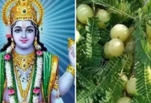 Amalaki Ekadashi 2025: आमलकी एकादशी पर चुपचाप करें ये काम, सोया भाग्य जग जाएगा