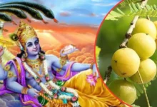 Amalaki Ekadashi 2025: इस बार आमलकी एकादशी पर सही पूजा विधि और समय जानें, तीन शुभ संयोग