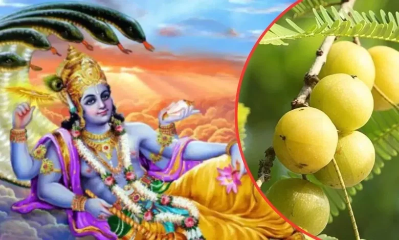 Amalaki Ekadashi 2025: इस बार आमलकी एकादशी पर सही पूजा विधि और समय जानें, तीन शुभ संयोग