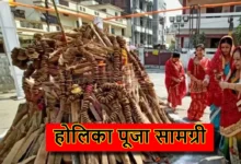 Holika Dahan 2025: होलिका दहन की पूजा सामग्री की सूची, इन चीजों को पूजा में जरुर शामिल करें