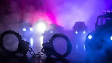 'गैंगस्टरां ते वार': पंजाब पुलिस की 571 ठिकानों पर 'सर्जिकल स्ट्राइक', 26वें दिन 193 और सहयोगी जेल में