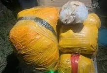 फिरोजपुर पुलिस का बड़ा 'ऑपरेशन क्लीन': हफ्ते भर चले टेक्निकल अभियान के बाद 6 किलो हेरोइन बरामद, एक गिरफ्तार