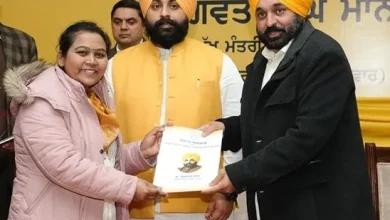 भगवंत मान का 'मिशन रोजगार': 61,281 घरों में पहुंचा सरकारी नौकरी का नियुक्ति पत्र