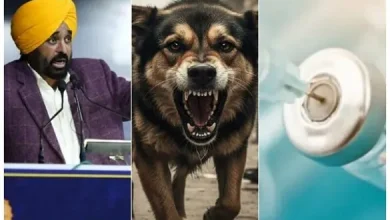 पंजाब में स्वास्थ्य क्रांति: 881 क्लीनिकों में एंटी-रैबीज वैक्सीन मुफ्त, सीएम मान का बड़ा तोहफा