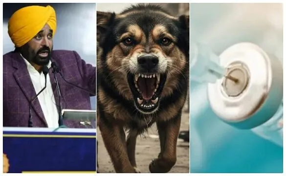 पंजाब में स्वास्थ्य क्रांति: 881 क्लीनिकों में एंटी-रैबीज वैक्सीन मुफ्त, सीएम मान का बड़ा तोहफा