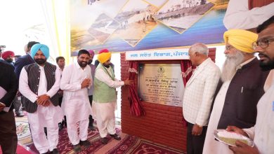 कांग्रेस और अकाली दल की सरकारों ने दूसरे राज्यों को पानी देने के समझौते करके पंजाब को धोखा दिया- भगवंत सिंह मान