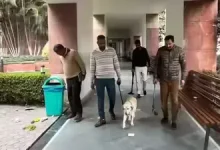 'खालिस्तान नेशनल आर्मी' का धमकी भरा ईमेल: मोहाली के स्कूलों और फोर्टिस अस्पताल में बम निरोधक दस्ता तैनात