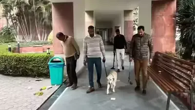 'खालिस्तान नेशनल आर्मी' का धमकी भरा ईमेल: मोहाली के स्कूलों और फोर्टिस अस्पताल में बम निरोधक दस्ता तैनात 'खालिस्तान नेशनल आर्मी' का धमकी भरा ईमेल: मोहाली के स्कूलों और फोर्टिस अस्पताल में बम निरोधक दस्ता तैनात