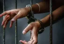 पंजाब पुलिस का 'गैंगस्टरों पर वार': 27वें दिन राज्य भर में 516 ठिकानों पर छापेमारी; 9 भगोड़े अपराधियों सहित 181 गिरफ्तार