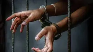 पंजाब पुलिस का 'गैंगस्टरों पर वार': 27वें दिन राज्य भर में 516 ठिकानों पर छापेमारी; 9 भगोड़े अपराधियों सहित 181 गिरफ्तार