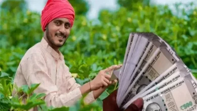 पीएम किसान योजना: होली से पहले 9 करोड़ किसानों को लग सकता है झटका, जानें क्यों अटक सकती है 22वीं किस्त