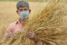 22वीं किस्त के लिए 'फार्मर रजिस्ट्री' अनिवार्य, वरना रुक जाएगा पैसा