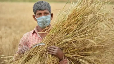 22वीं किस्त के लिए 'फार्मर रजिस्ट्री' अनिवार्य, वरना रुक जाएगा पैसा